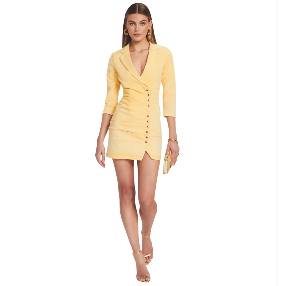 NWT-Retrofete Willa Dress